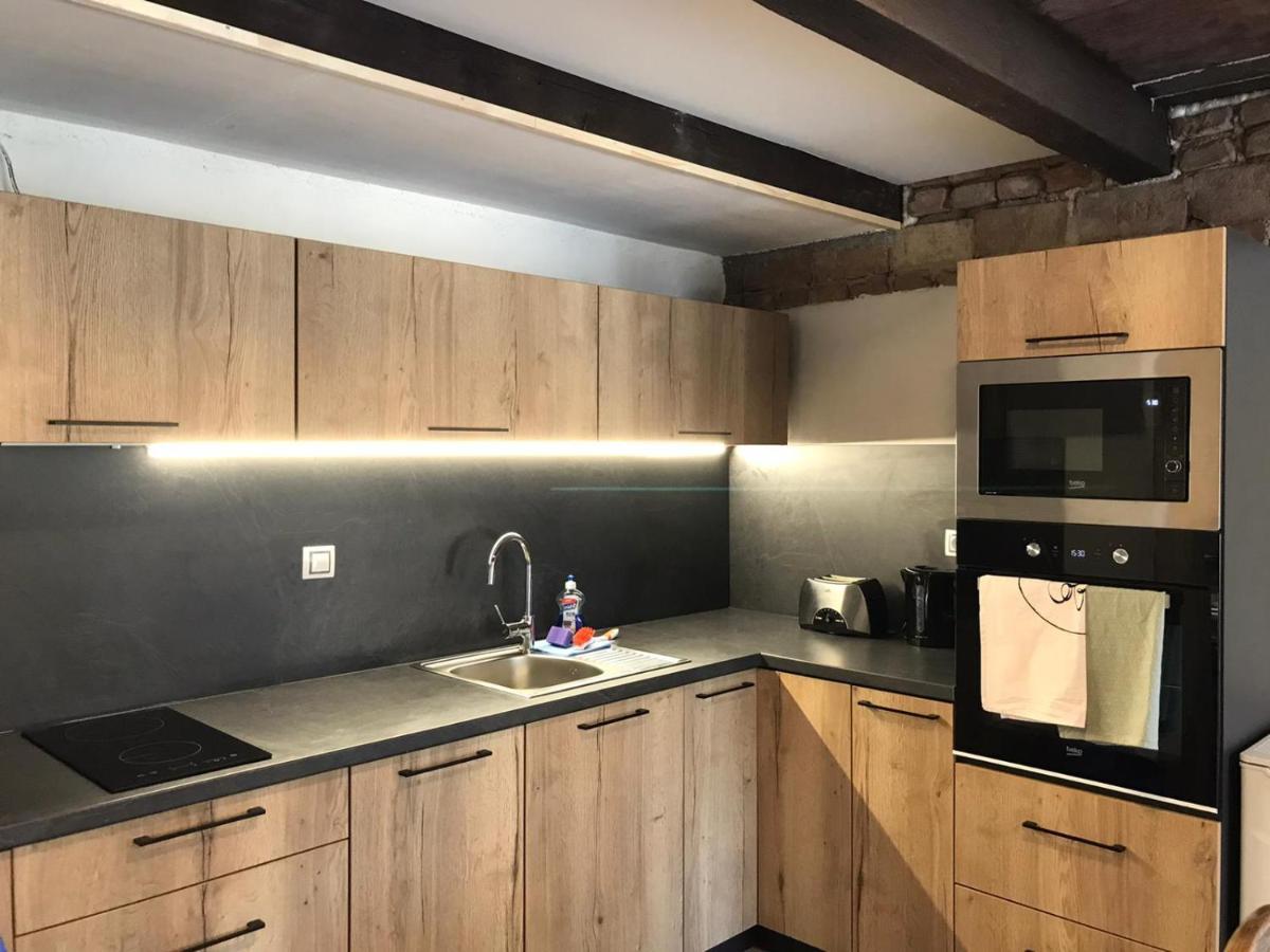Villa Chaloupka Na Vrsku à Loučná pod Klínovcem Extérieur photo